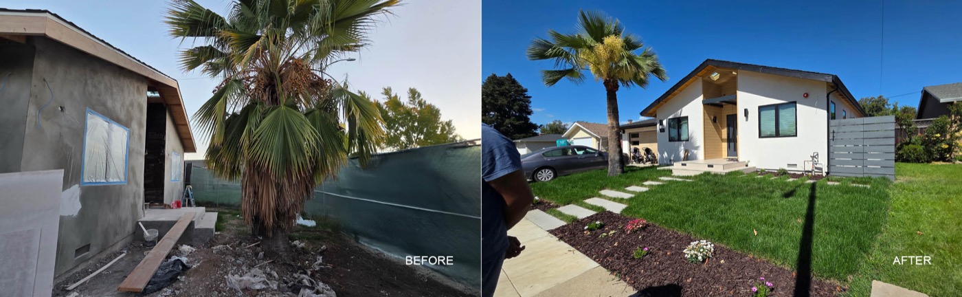 Front Yard Landscape: Before and After